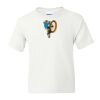 DryBlend Youth 50/50 T-Shirt Gildan Thumbnail