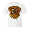 DryBlend Youth 50/50 T-Shirt Gildan Thumbnail