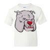 DryBlend Youth 50/50 T-Shirt Gildan Thumbnail