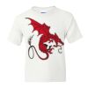 DryBlend Youth 50/50 T-Shirt Gildan Thumbnail
