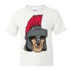 DryBlend Youth 50/50 T-Shirt Gildan Thumbnail