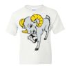 DryBlend Youth 50/50 T-Shirt Gildan Thumbnail