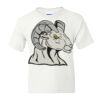 DryBlend Youth 50/50 T-Shirt Gildan Thumbnail