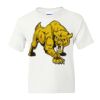 DryBlend Youth 50/50 T-Shirt Gildan Thumbnail