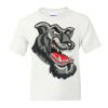 DryBlend Youth 50/50 T-Shirt Gildan Thumbnail