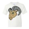 DryBlend Youth 50/50 T-Shirt Gildan Thumbnail