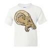 DryBlend Youth 50/50 T-Shirt Gildan Thumbnail