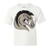 DryBlend Youth 50/50 T-Shirt Gildan Thumbnail