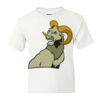 DryBlend Youth 50/50 T-Shirt Gildan Thumbnail