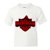 DryBlend Youth 50/50 T-Shirt Gildan Thumbnail