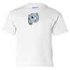 Ultra Cotton Youth T-Shirt Gildan 2000B Thumbnail