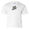 Ultra Cotton Youth T-Shirt Gildan 2000B Thumbnail