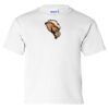 Ultra Cotton Youth T-Shirt Gildan 2000B Thumbnail