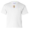 Ultra Cotton Youth T-Shirt Gildan 2000B Thumbnail