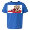 Softstyle® Youth T-Shirt Thumbnail