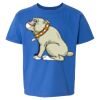 Softstyle® Youth T-Shirt Thumbnail
