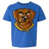 Softstyle® Youth T-Shirt Thumbnail