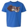 Softstyle® Youth T-Shirt Thumbnail