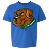 Softstyle® Youth T-Shirt Thumbnail