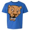 Softstyle® Youth T-Shirt Thumbnail