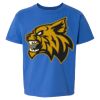 Softstyle® Youth T-Shirt Thumbnail