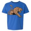 Softstyle® Youth T-Shirt Thumbnail