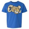 Softstyle® Youth T-Shirt Thumbnail
