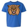 Softstyle® Youth T-Shirt Thumbnail