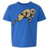 Softstyle® Youth T-Shirt Thumbnail