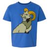 Softstyle® Youth T-Shirt Thumbnail