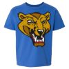Softstyle® Youth T-Shirt Thumbnail