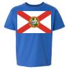Softstyle® Youth T-Shirt Thumbnail