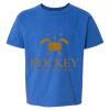 Softstyle® Youth T-Shirt Thumbnail
