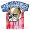 Multi Tie Dye Tees - Adult & Youth Thumbnail