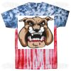 Multi Tie Dye Tees - Adult & Youth Thumbnail