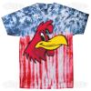 Multi Tie Dye Tees - Adult & Youth Thumbnail