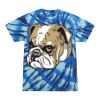 Swirl Tie Dye Tees - Adult & Youth Thumbnail