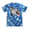 Swirl Tie Dye Tees - Adult & Youth Thumbnail