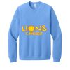Unisex Sponge Fleece Raglan Sweatshirt Thumbnail